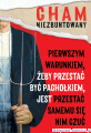 Magnes_Ziemek_Cham03.png