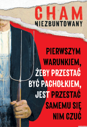 Magnes_Ziemek_Cham03.png